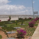 KKTC Ercan Havalimanı Bitkisel ve Sert Zemin Peyzaj Alanı